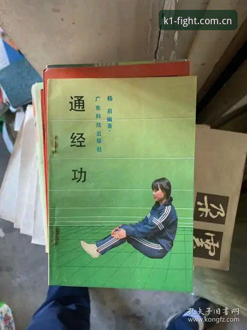 K1体育登录平台实用指南：安全性、操作与竞技策略全解析